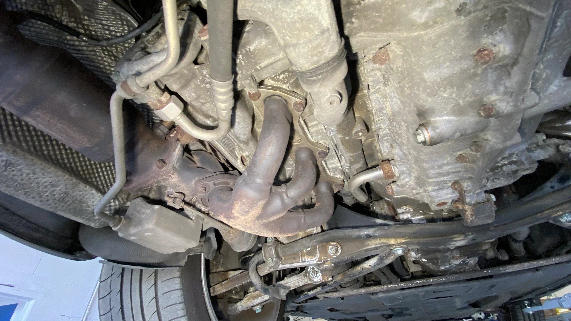 IMG_0019