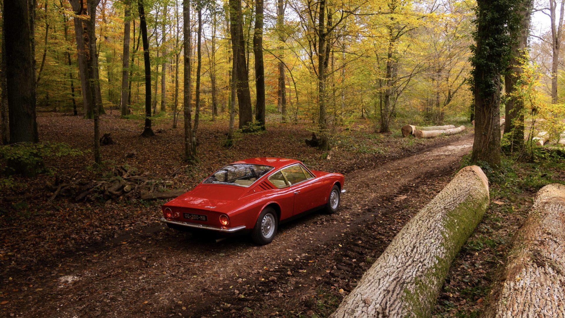 bf671989-a17b-40cc-9f60-498605859877